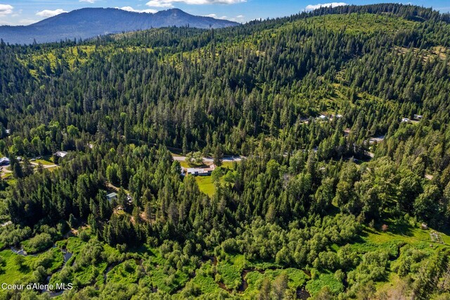 5961 Blacktail Rd, Careywood, ID 83809 - photo 43