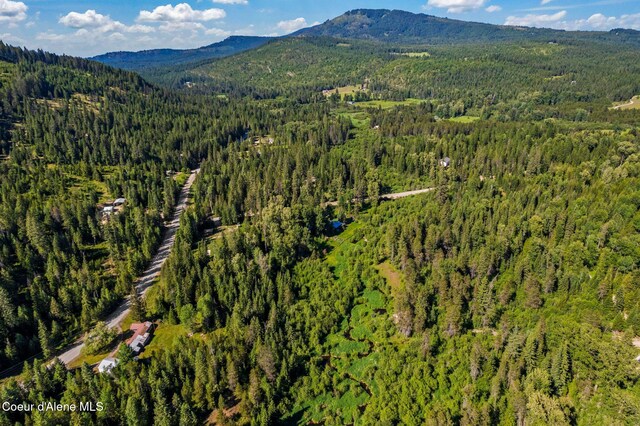 5961 Blacktail Rd, Careywood, ID 83809 - photo 44