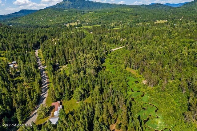5961 Blacktail Rd, Careywood, ID 83809 - photo 46