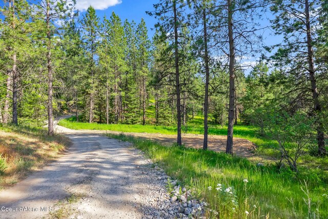 NKA Finnegan Rd, Coeur Dalene, ID 83814 - photo 3
