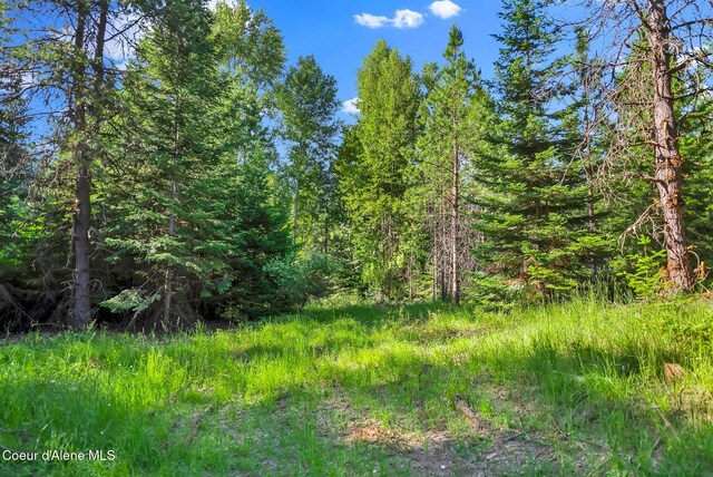 NKA Finnegan Rd, Coeur Dalene, ID 83814 - photo 5