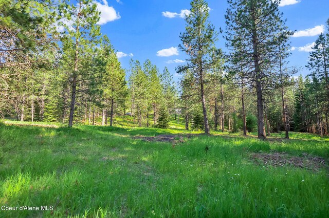 NKA Finnegan Rd, Coeur Dalene, ID 83814 - photo 6