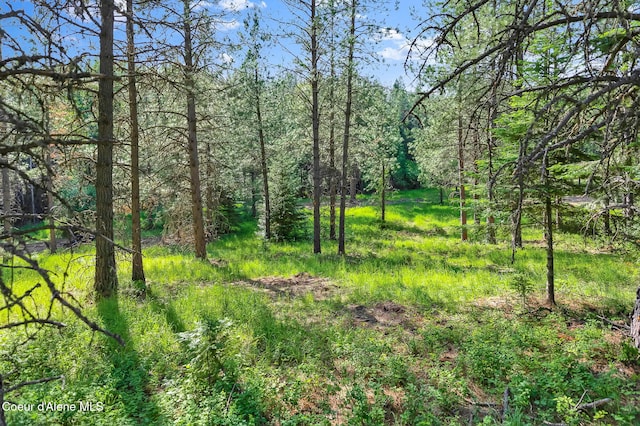 NKA Finnegan Rd, Coeur Dalene, ID 83814 - photo 10
