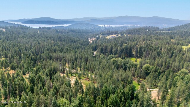 NKA Finnegan Rd, Coeur Dalene, ID 83814 - photo 21