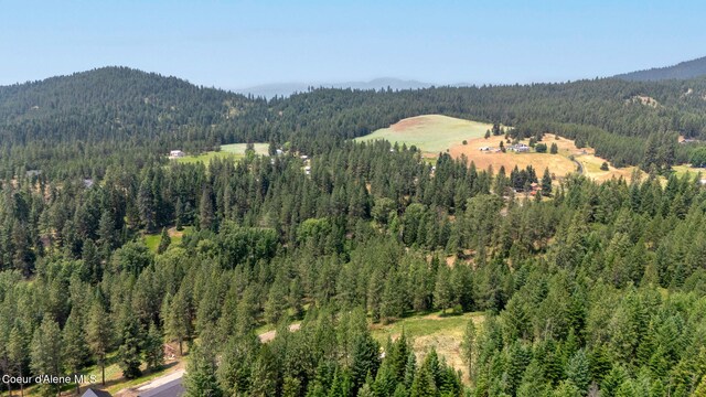 NKA Finnegan Rd, Coeur Dalene, ID 83814 - photo 23