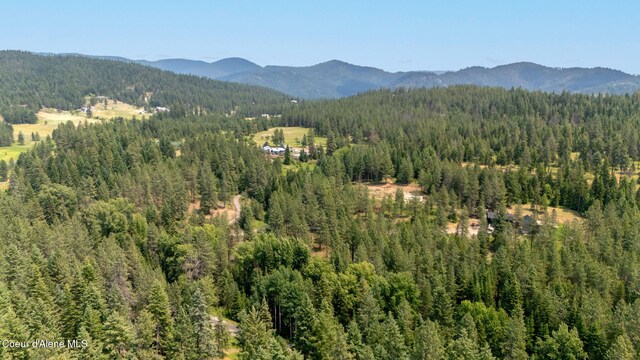 NKA Finnegan Rd, Coeur Dalene, ID 83814 - photo 27