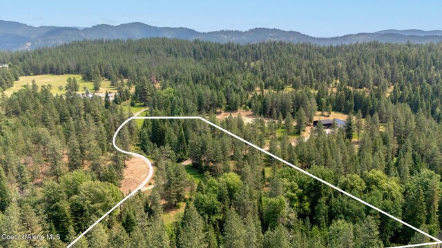 NKA Finnegan Rd, Coeur Dalene, ID 83814 - photo 29