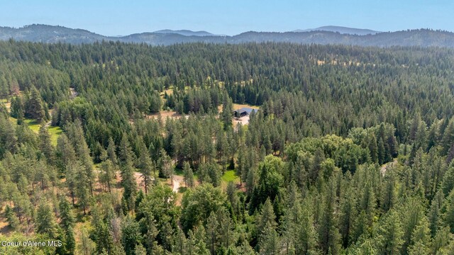 NKA Finnegan Rd, Coeur Dalene, ID 83814 - photo 30