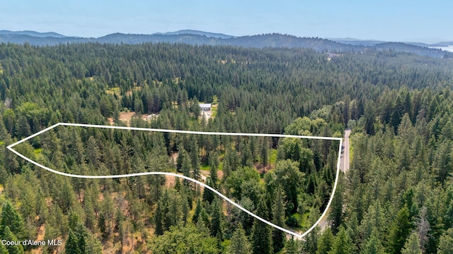 NKA Finnegan Rd, Coeur Dalene, ID 83814 - photo 32