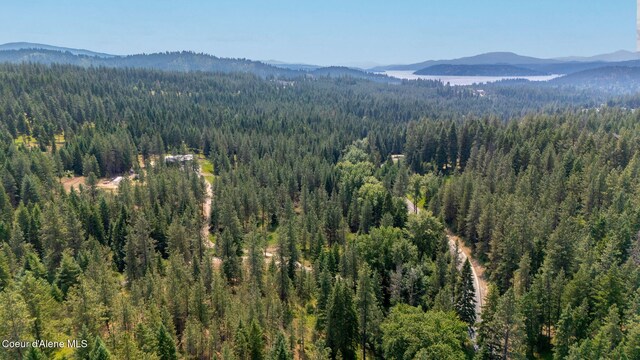 NKA Finnegan Rd, Coeur Dalene, ID 83814 - photo 33