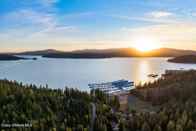 3889 E Avery Ln, Coeur Dalene, ID 83814 - water view with mountains