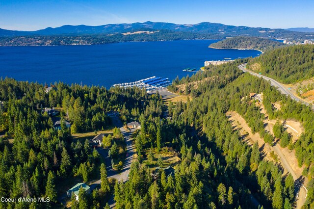 3889 E Avery Ln, Coeur Dalene, ID 83814 - drone / aerial view of a water and mountain view and a forest