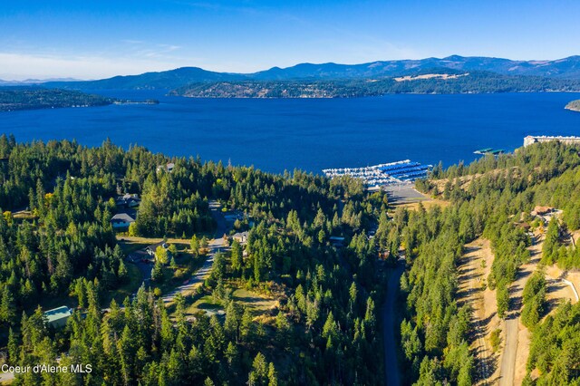 3889 E Avery Ln, Coeur Dalene, ID 83814 - drone / aerial view of a water and mountain view