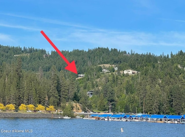 3889 E Avery Ln, Coeur Dalene, ID 83814 - water view with a forest