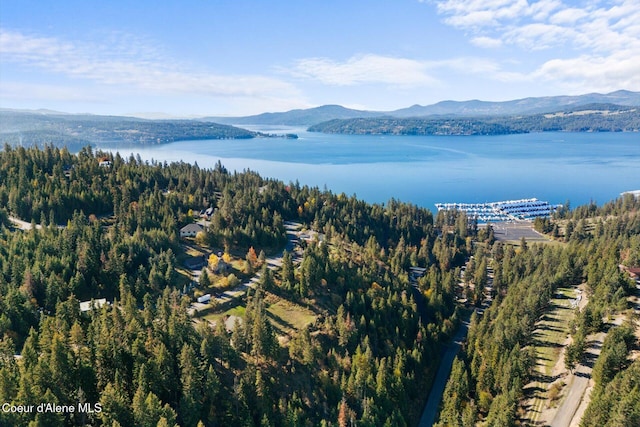 3889 E Avery Ln, Coeur Dalene, ID 83814 - aerial view of a water and mountain view
