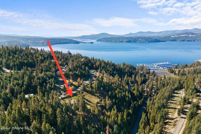 3889 E Avery Ln, Coeur Dalene, ID 83814 - drone / aerial view of a water and mountain view and a forest