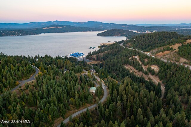 3889 E Avery Ln, Coeur Dalene, ID 83814 - aerial view at dusk of a water and mountain view and a wooded view