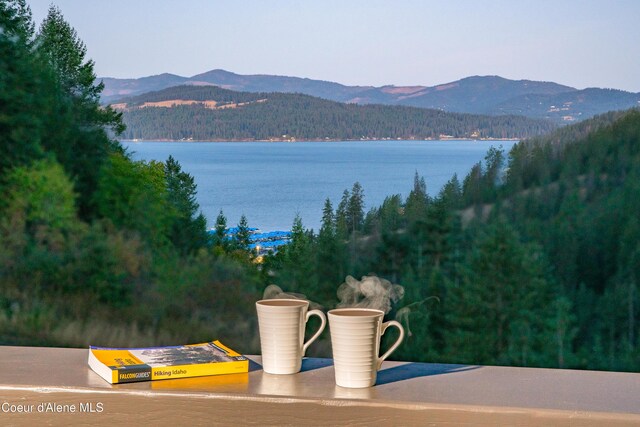 3889 E Avery Ln, Coeur Dalene, ID 83814 - water view with mountains