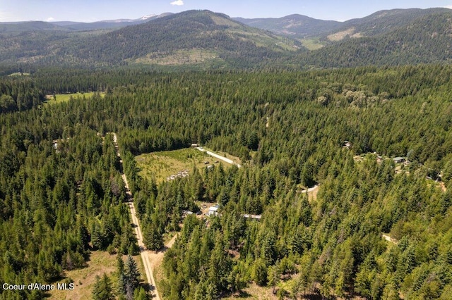 1399 Round Mountain Rd, Naples, ID 83847