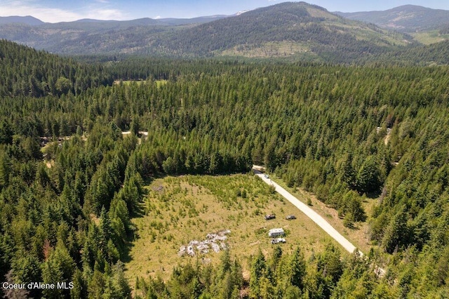 1399 Round Mountain Rd, Naples, ID 83847