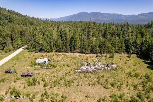 1399 Round Mountain Rd, Naples, ID 83847 - photo 11