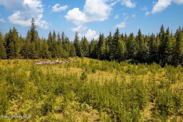 1399 Round Mountain Rd, Naples, ID 83847