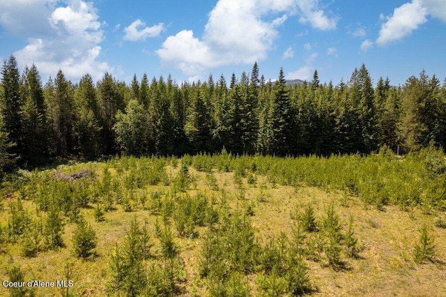 1399 Round Mountain Rd, Naples, ID 83847 - photo 13