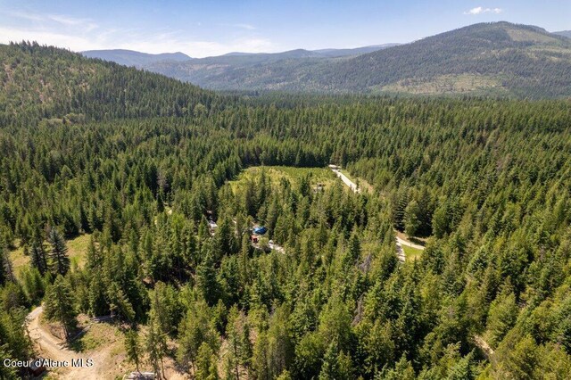1399 Round Mountain Rd, Naples, ID 83847