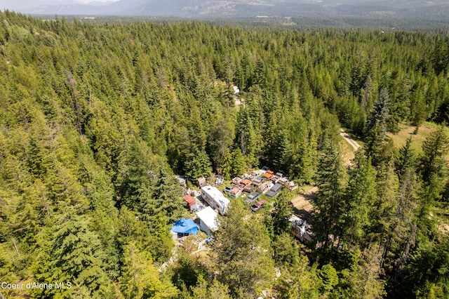 1399 Round Mountain Rd, Naples, ID 83847 - photo 19