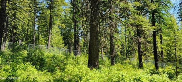 1015 Templeman Lake Rd, Bonners Ferry, ID 83805 - photo 3