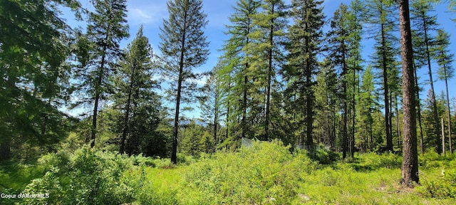 1015 Templeman Lake Rd, Bonners Ferry, ID 83805 - photo 4