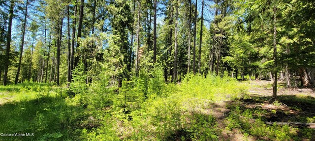 1015 Templeman Lake Rd, Bonners Ferry, ID 83805 - photo 6