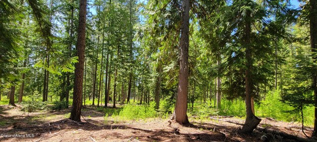 1015 Templeman Lake Rd, Bonners Ferry, ID 83805 - photo 7