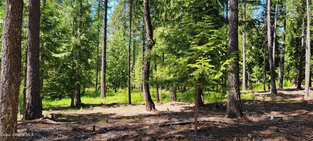 1015 Templeman Lake Rd, Bonners Ferry, ID 83805 - photo 8