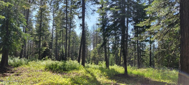 1015 Templeman Lake Rd, Bonners Ferry, ID 83805 - photo 9