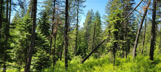 1015 Templeman Lake Rd, Bonners Ferry, ID 83805 - photo 11
