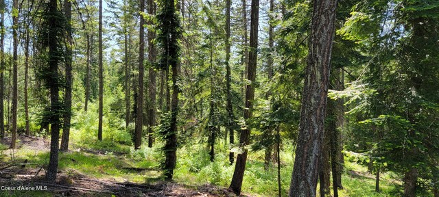 1015 Templeman Lake Rd, Bonners Ferry, ID 83805 - photo 12