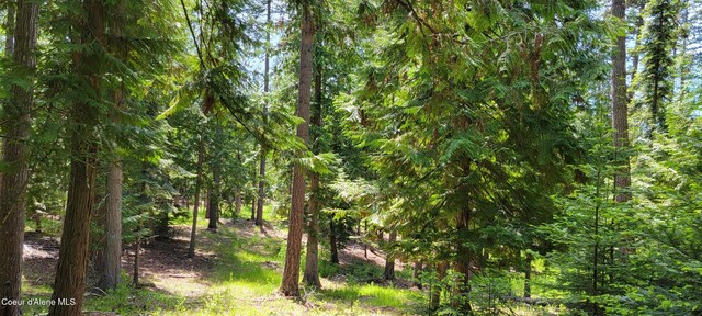 1015 Templeman Lake Rd, Bonners Ferry, ID 83805 - photo 13