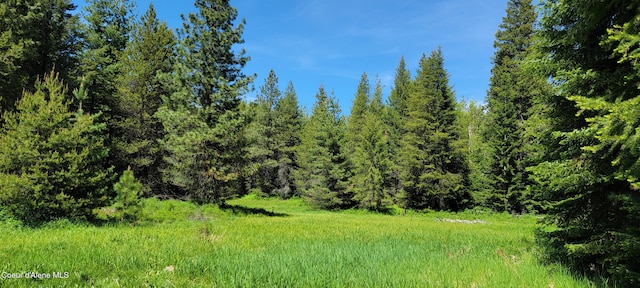 1015 Templeman Lake Rd, Bonners Ferry, ID 83805 - photo 15