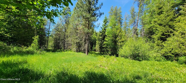 1015 Templeman Lake Rd, Bonners Ferry, ID 83805 - photo 18