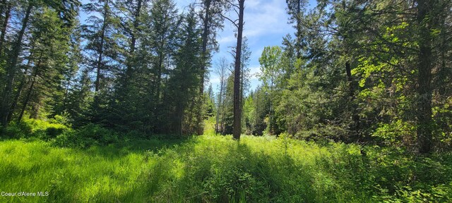 1015 Templeman Lake Rd, Bonners Ferry, ID 83805 - photo 19