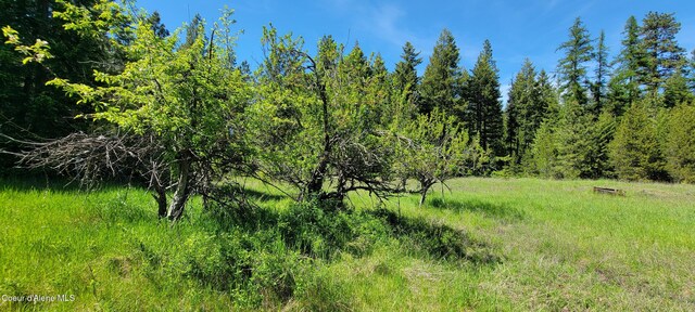 1015 Templeman Lake Rd, Bonners Ferry, ID 83805 - photo 21