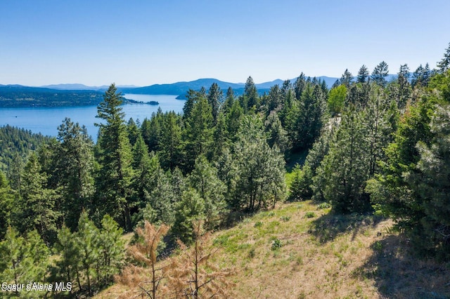 3740 E Sky Harbor Dr, Coeur Dalene, ID 83814