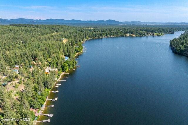 5734 W Freeman Rd, Rathdrum, ID 83858 - photo 40