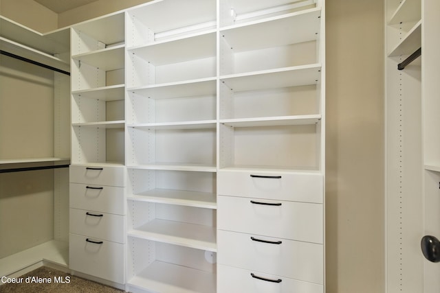 6984 W Blacktail Ave, Rathdrum, ID 83858 - view of walk in closet