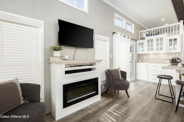 716 Raeder St, Kooskia, ID 83539 - living area with ornamental molding, a high ceiling, light wood-type flooring, and a glass covered fireplace