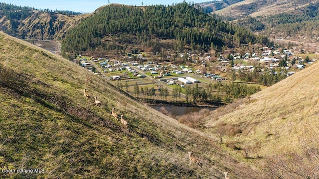 716 Raeder St, Kooskia, ID 83539 - view of mountain background