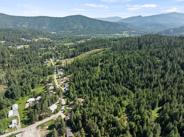 535 Hunt Gulch Rd, Kingston, ID 83839