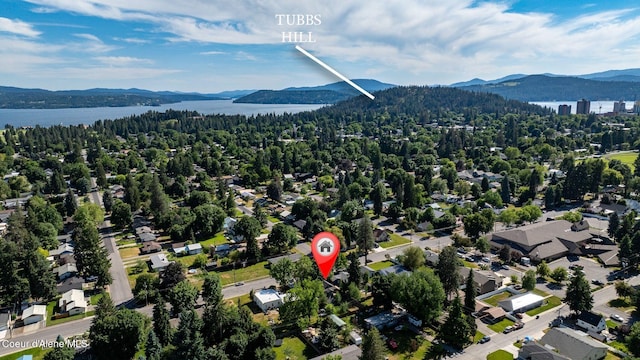 1901 E Pennsylvania Ave, Coeur Dalene, ID 83814 - bird's eye view of a heavily wooded area and a water and mountain view