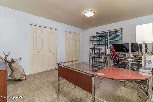 6531 Tannenbaum Cir, Bonners Ferry, ID 83805 - office space with light colored carpet